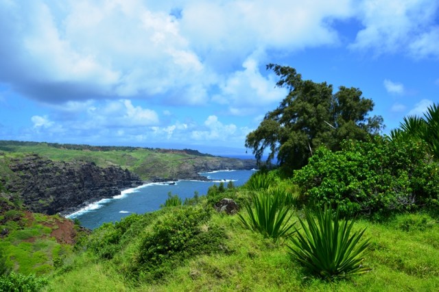 Private Tour Around West Maui - Maui's Coastal Treasures